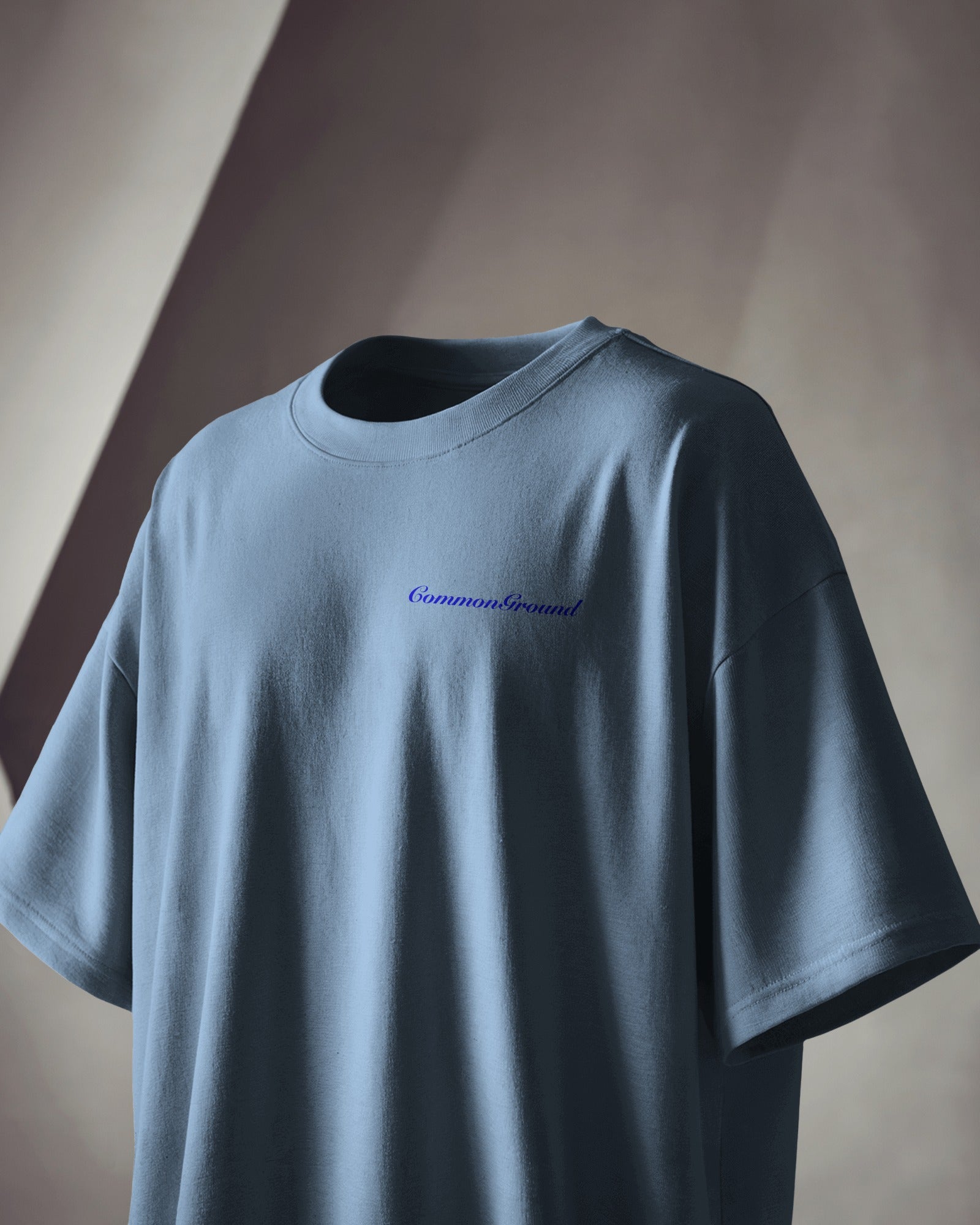 HEALTH & WELLNESS OVERSIZED T - SHIRT - COMMONGROUND