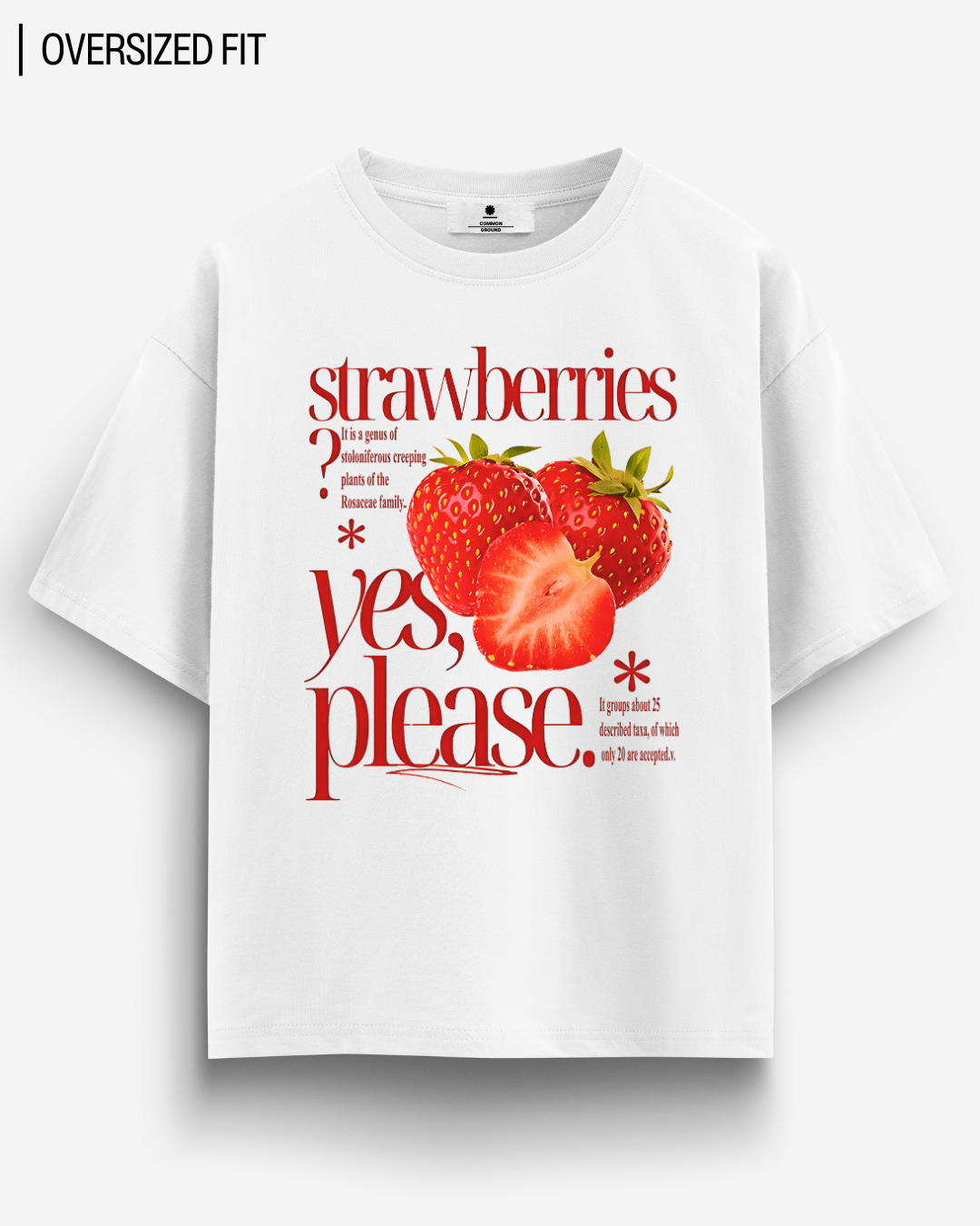 STRAWBERRIES OVERSIZED T - SHIRT - COMMONGROUND